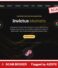 Invictus Markets — $1,000 Minimum and 1:500 Leverage